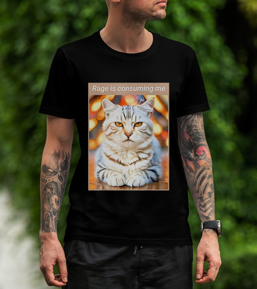 Cat Rage Is Consuming Me Meme Tiger Stripes T-Shirt