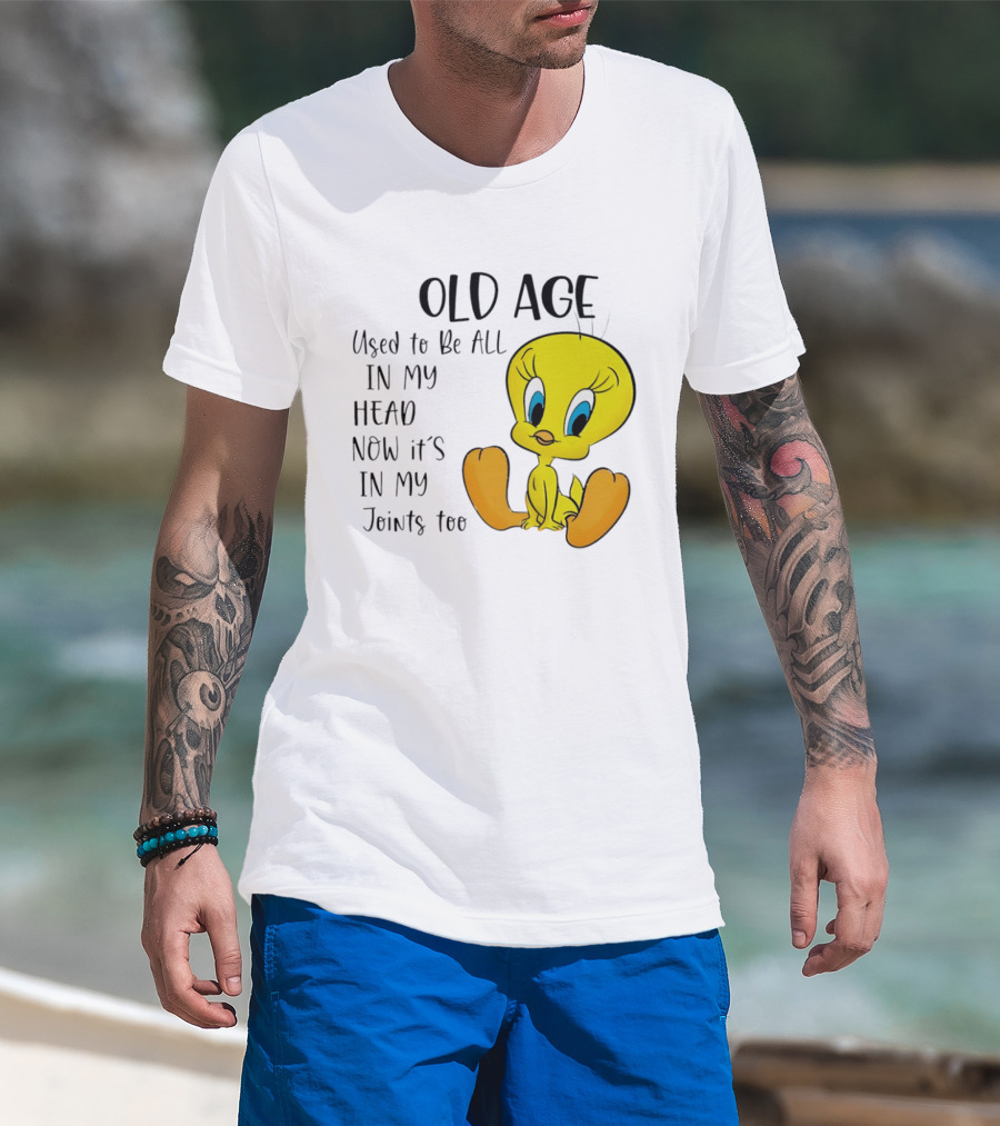 Old Age Tweety Used To Be All In My Head Now It's In My Joints Too T-Shirt