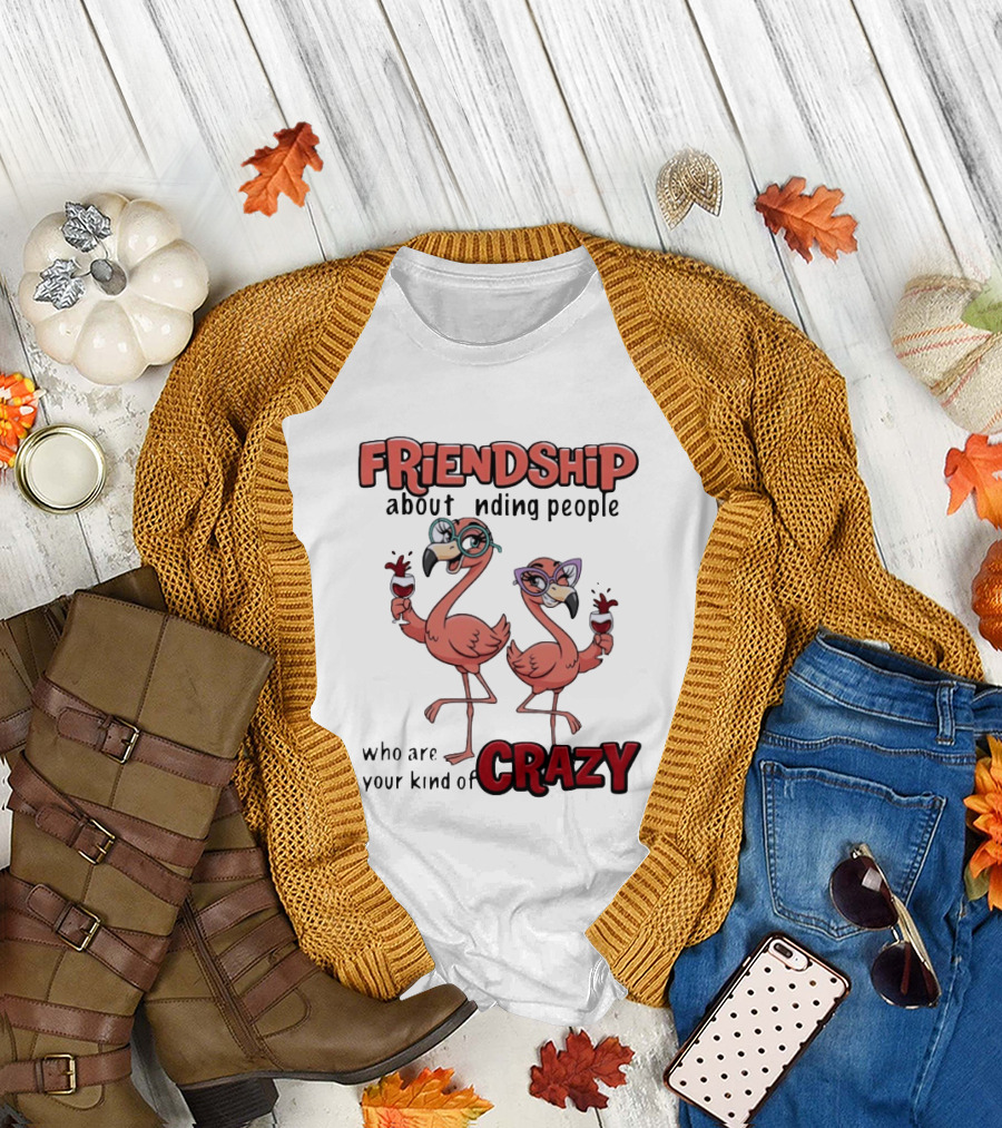 FRIENDSHIP About Finding People Who Are Your Kind Of CRAZY Flamingo Humor T-Shirt