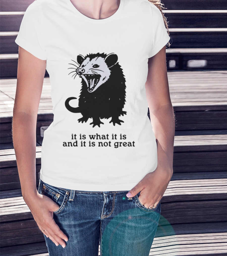 It Is What It Is And It Is Not Great Opossum T-Shirt