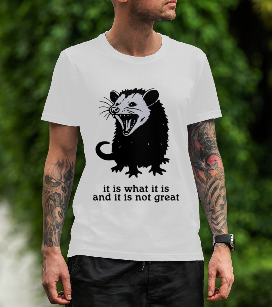 It Is What It Is And It Is Not Great Opossum T-Shirt