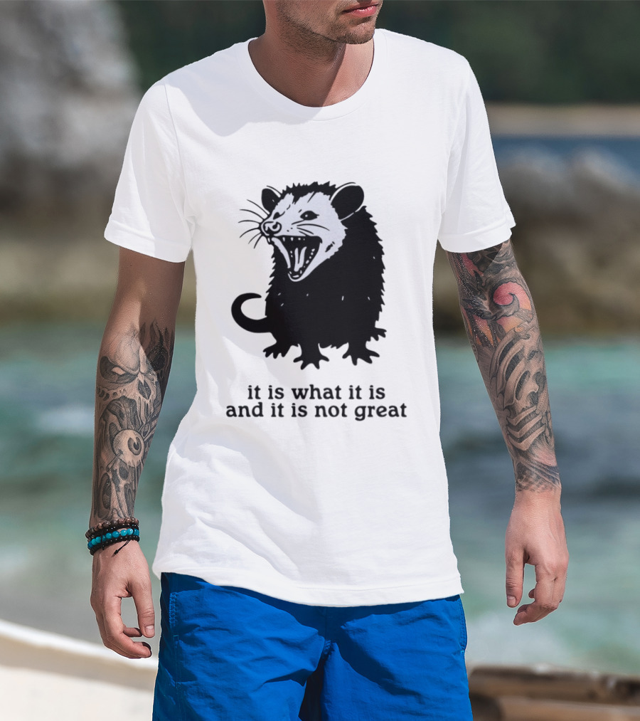 It Is What It Is And It Is Not Great Opossum T-Shirt