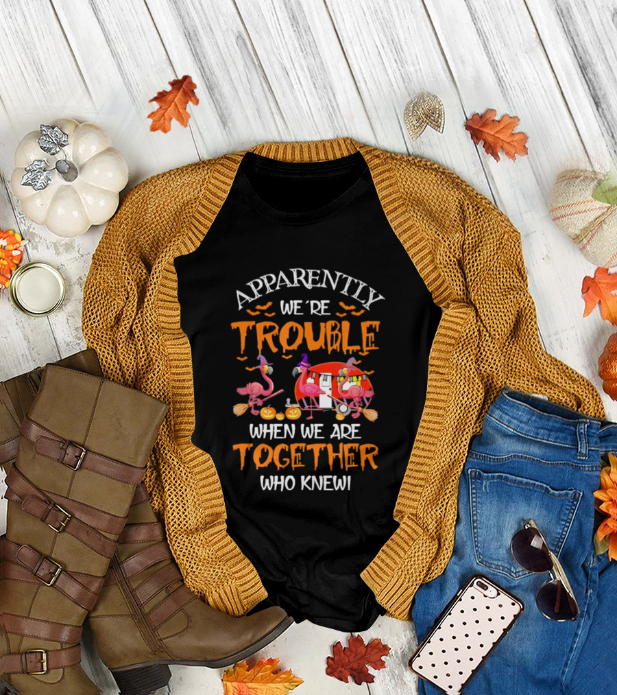 Apparently We're Trouble Flamingos Halloween Together Who Knew T-Shirt