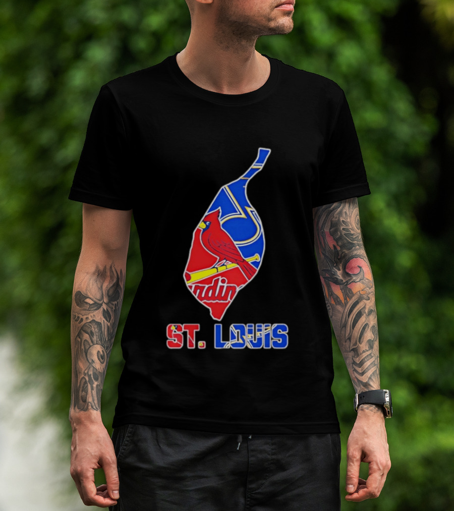 St. Louis Cardinals And Blues Team Spirit T-Shirt