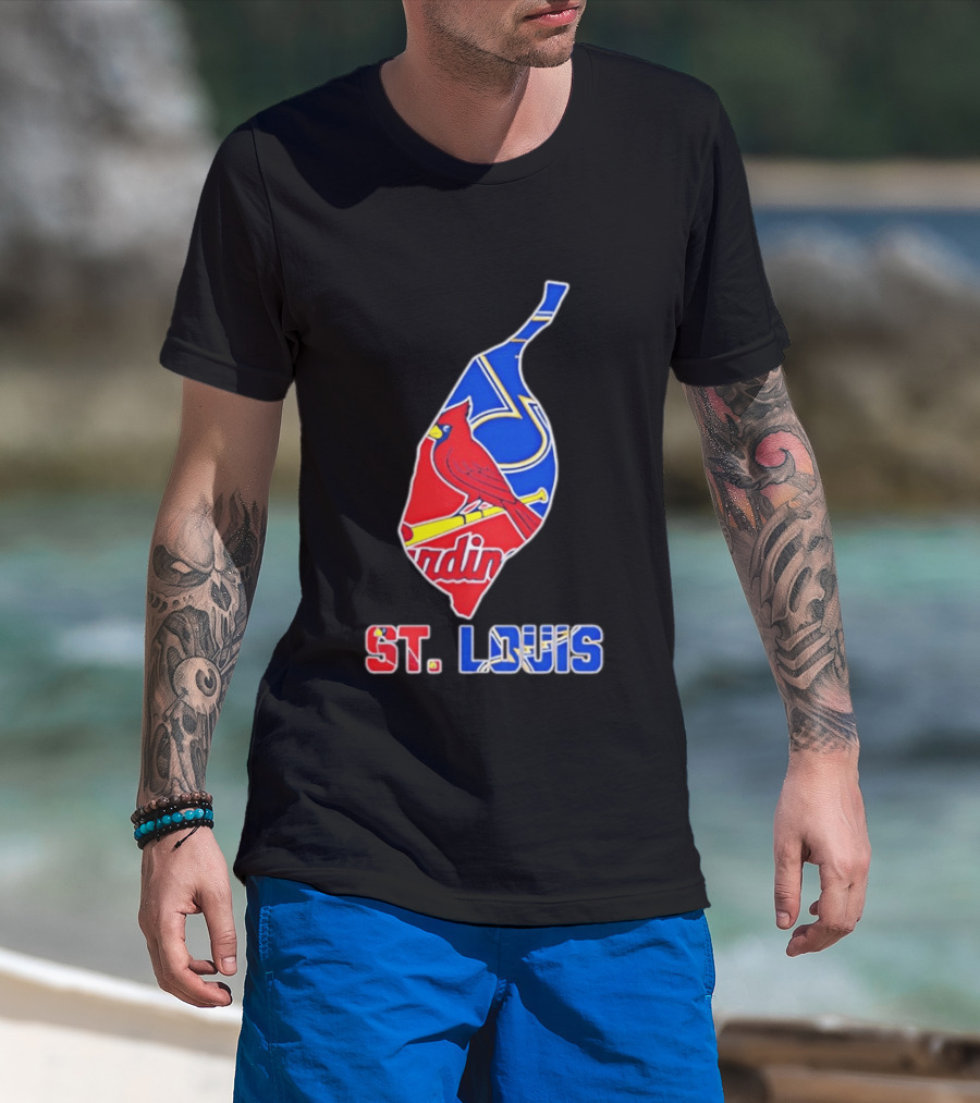 St. Louis Cardinals And Blues Team Spirit T-Shirt