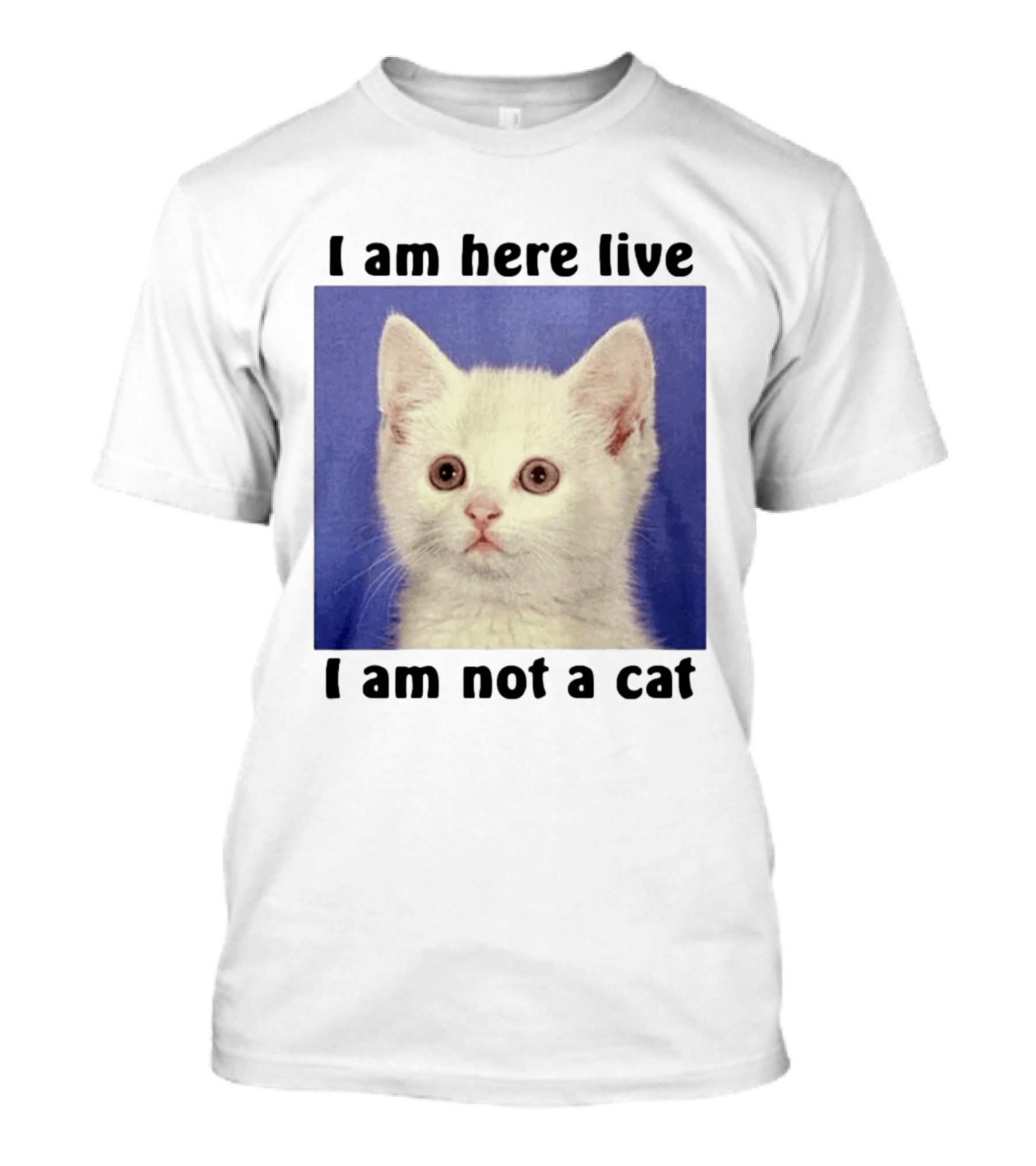 I Am Here Live I Am Not A Cat Funny Kitten Meme T-Shirt