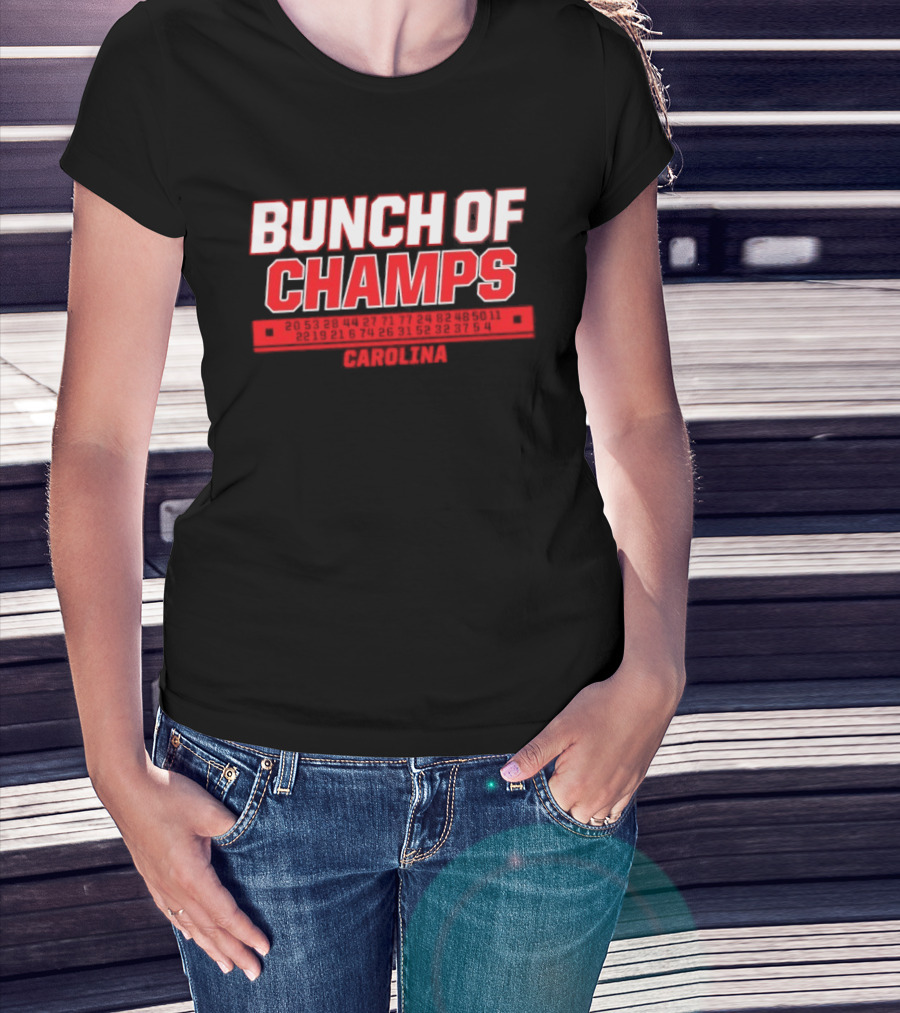 Carolina Hurricanes Bunch Of Champs 2026 T-Shirt