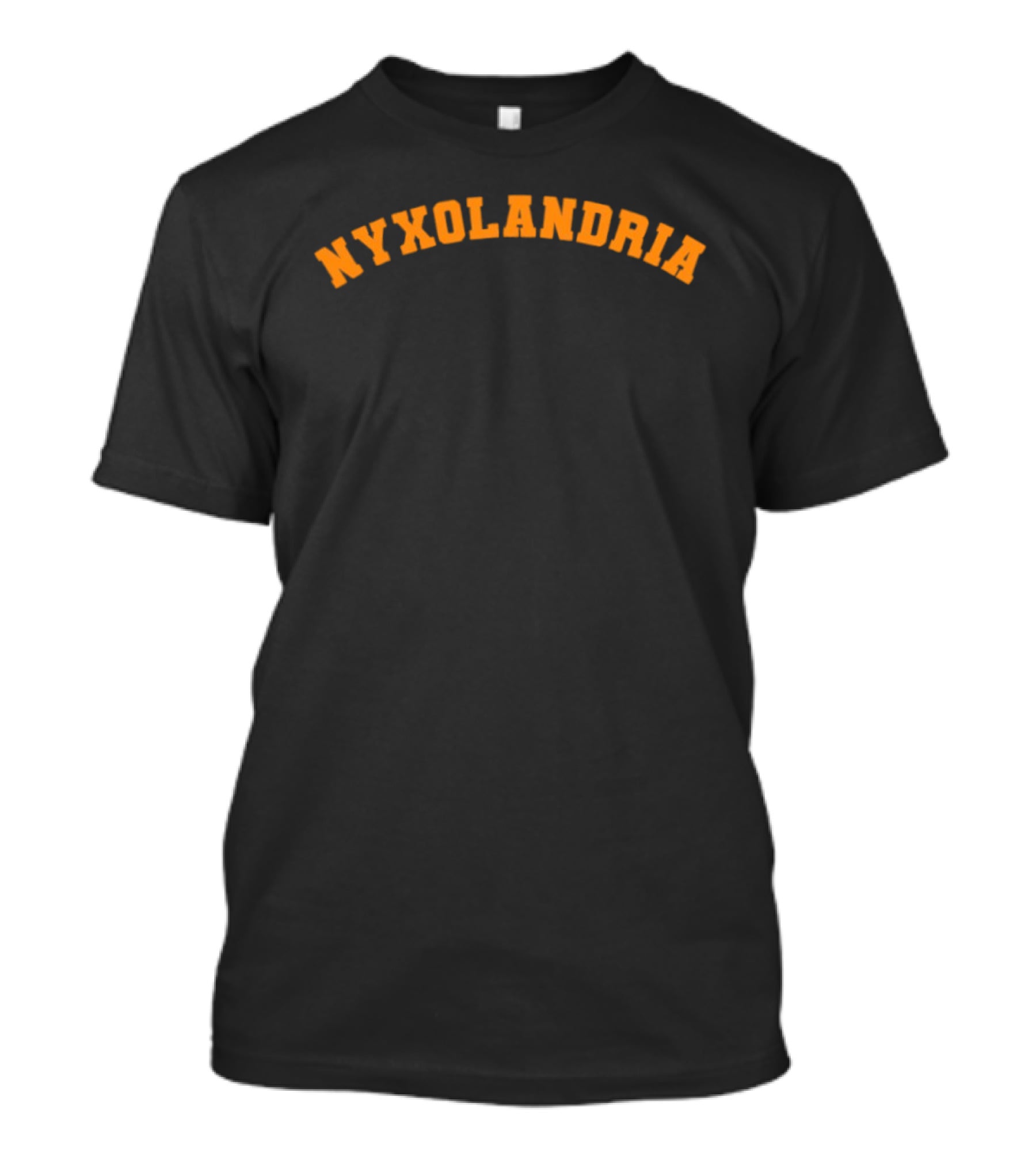 NYXOLANDRIA 2026 NY Taylor Stevie Knicks T-Shirt
