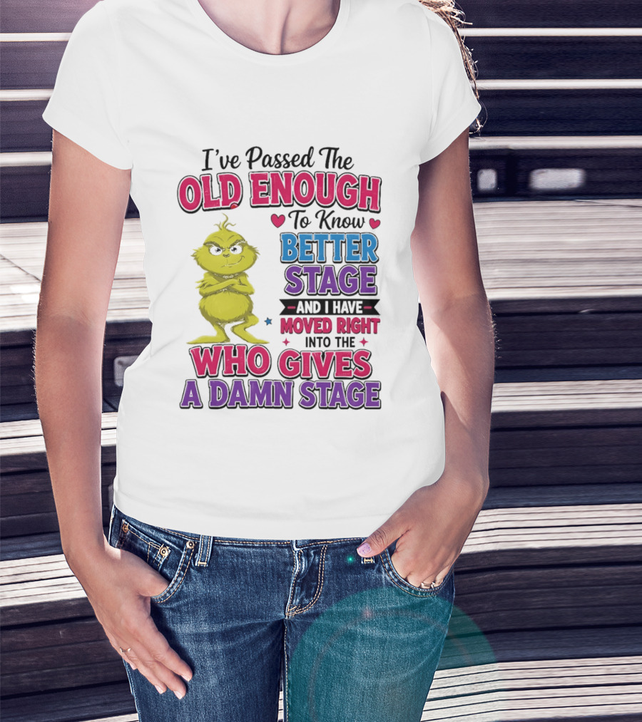 Passed The Old Enough To Know Better Moved Right Into The Who Gives A Damn Stage T-Shirt
