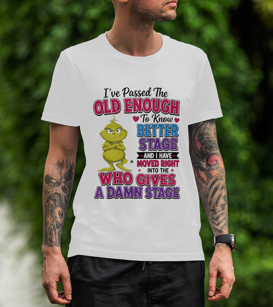 Passed The Old Enough To Know Better Moved Right Into The Who Gives A Damn Stage T-Shirt