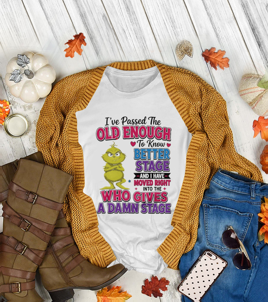 Passed the Old Enough to Know Better Moved Right into the Who Gives a Damn Stage T-Shirt