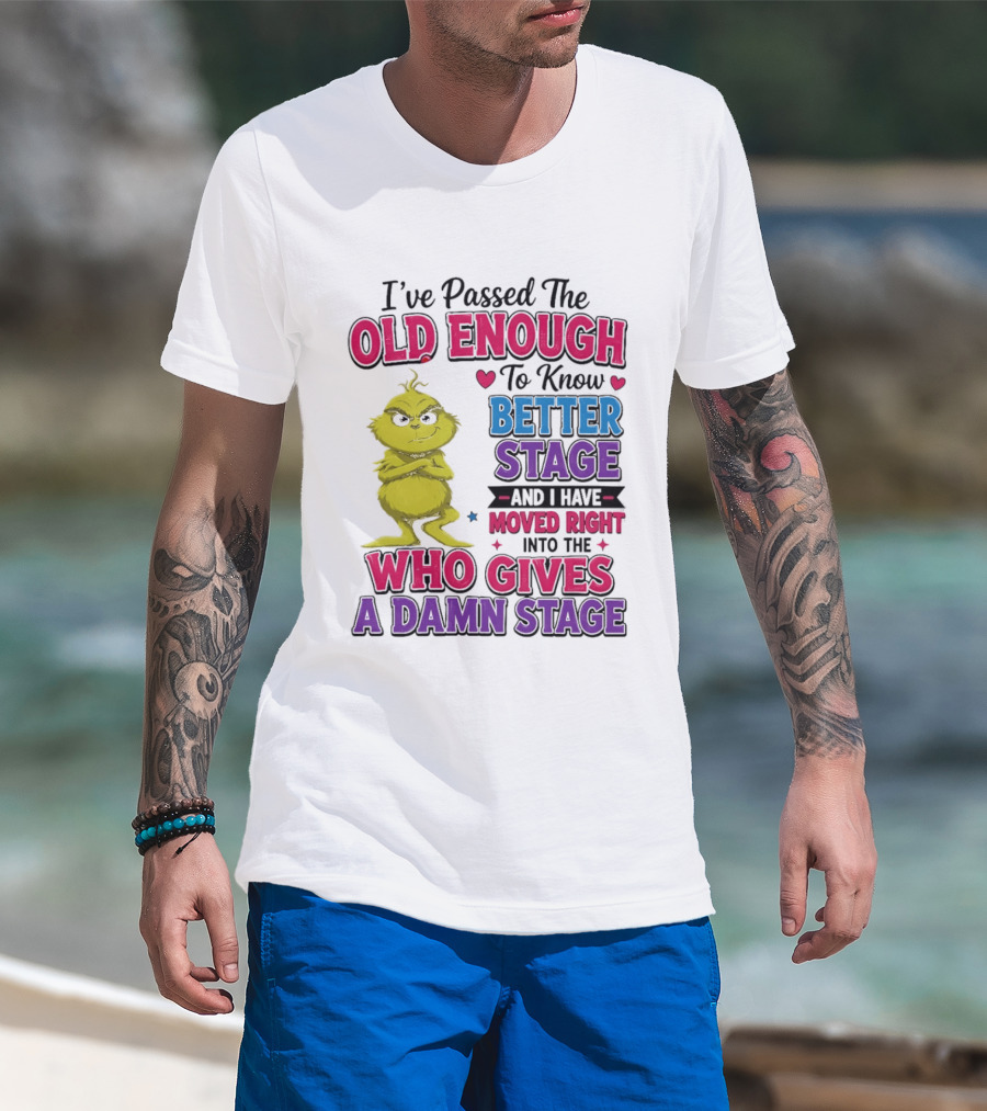 Passed The Old Enough To Know Better Moved Right Into The Who Gives A Damn Stage T-Shirt