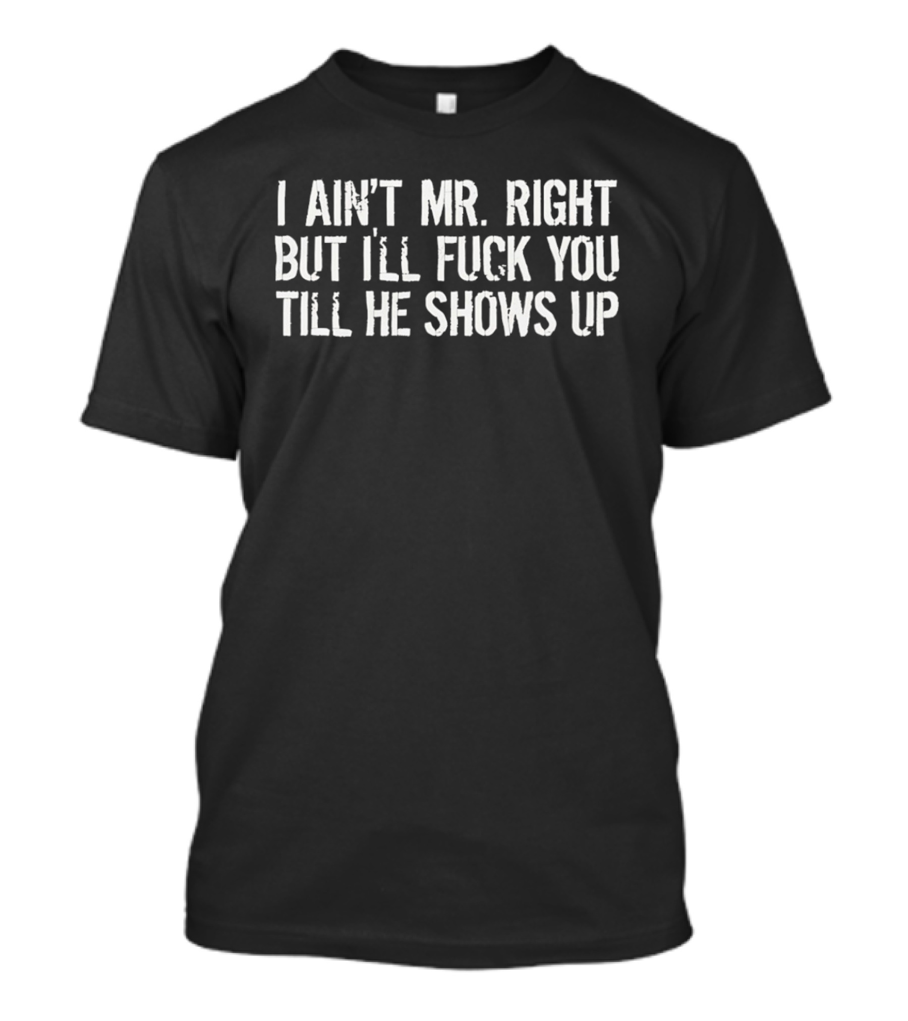 I Ain't Mr Right But I'll Fuck You Till He Shows Up T-Shirt