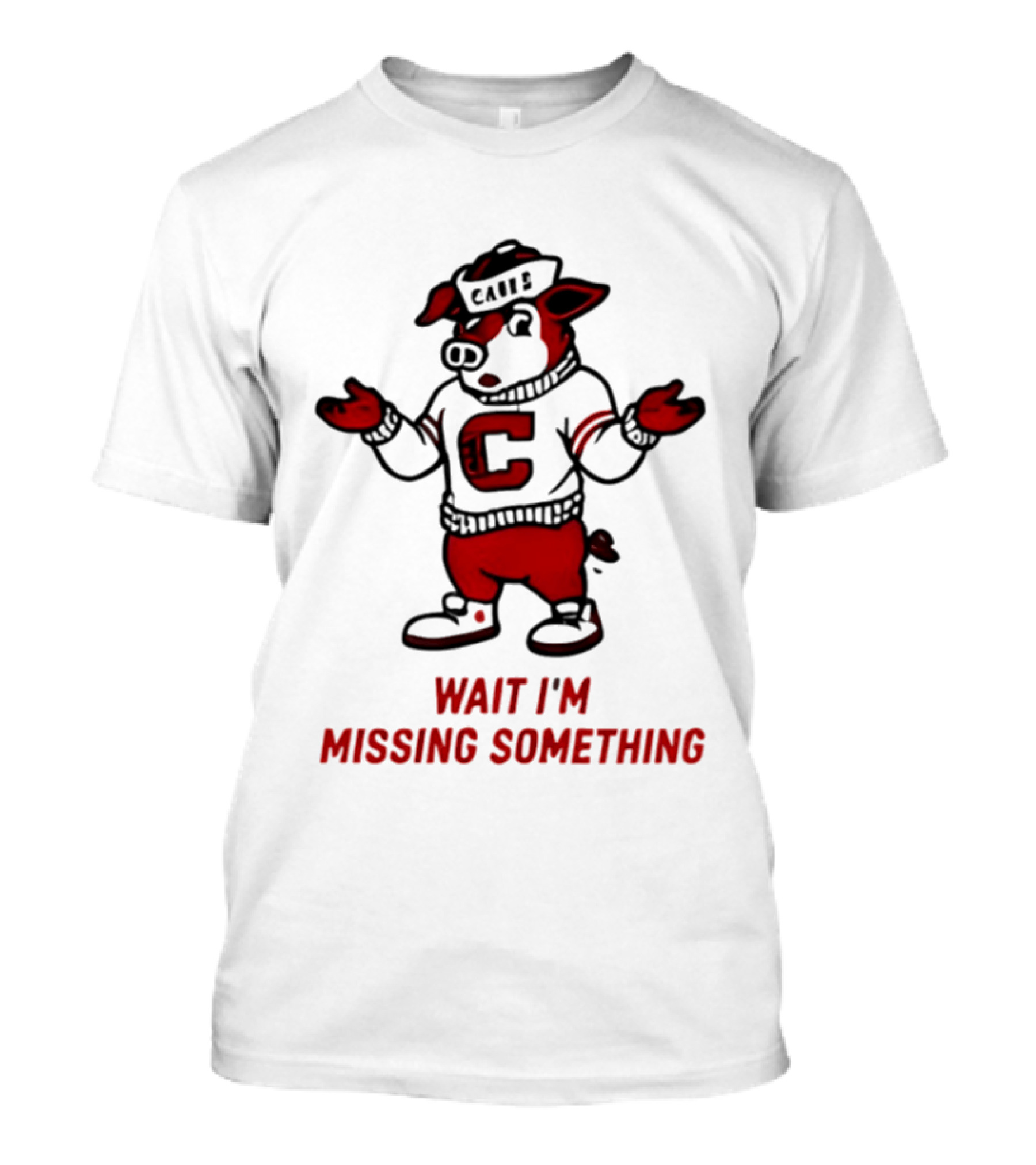 Carolina Hurricanes Wait I'm Missing Something 2026 NHL Hockey C Sweater Pig T-Shirt