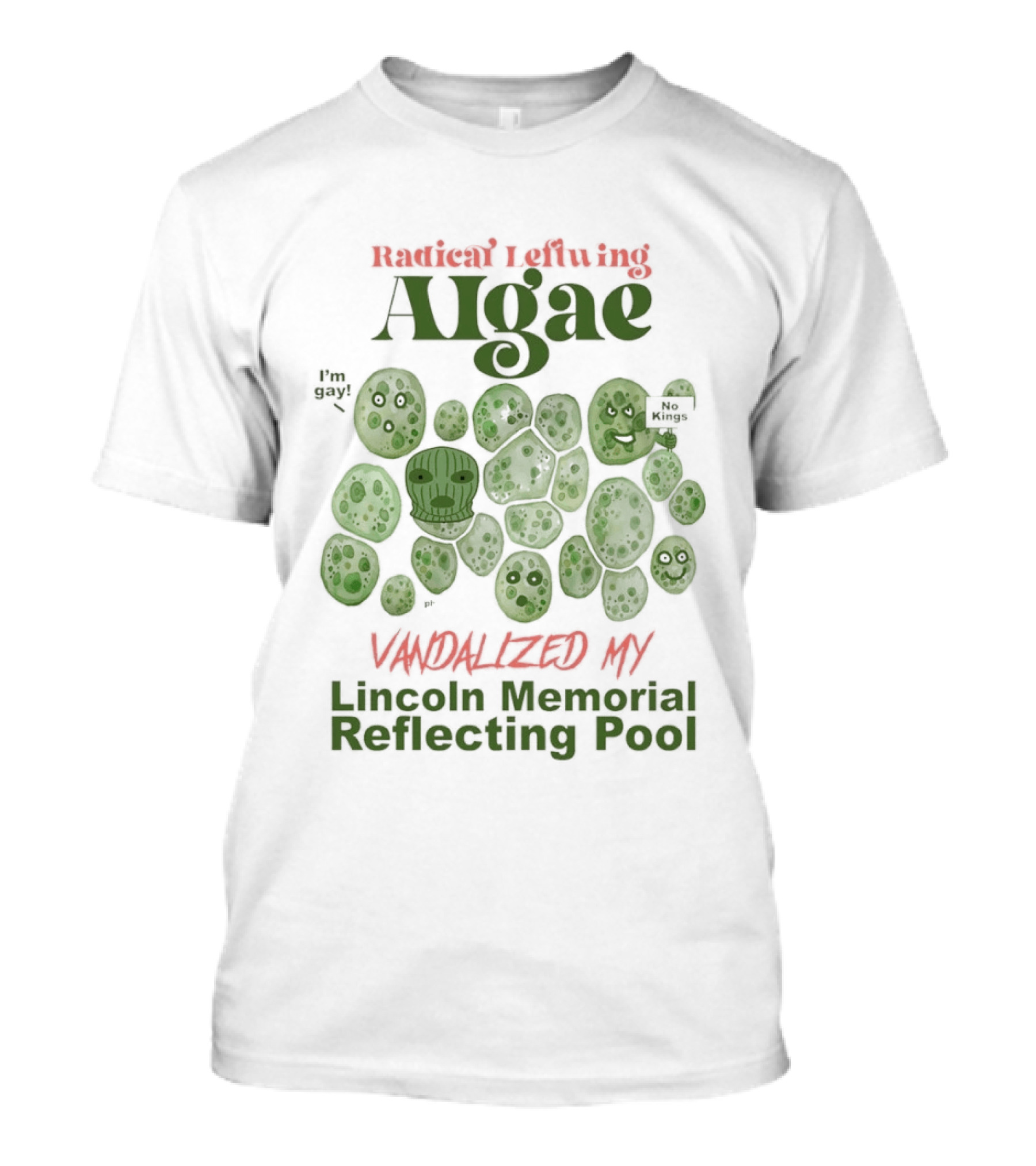 Radical Leftwing Algae Vandalized My Lincoln Memorial Reflecting Pool T-Shirt