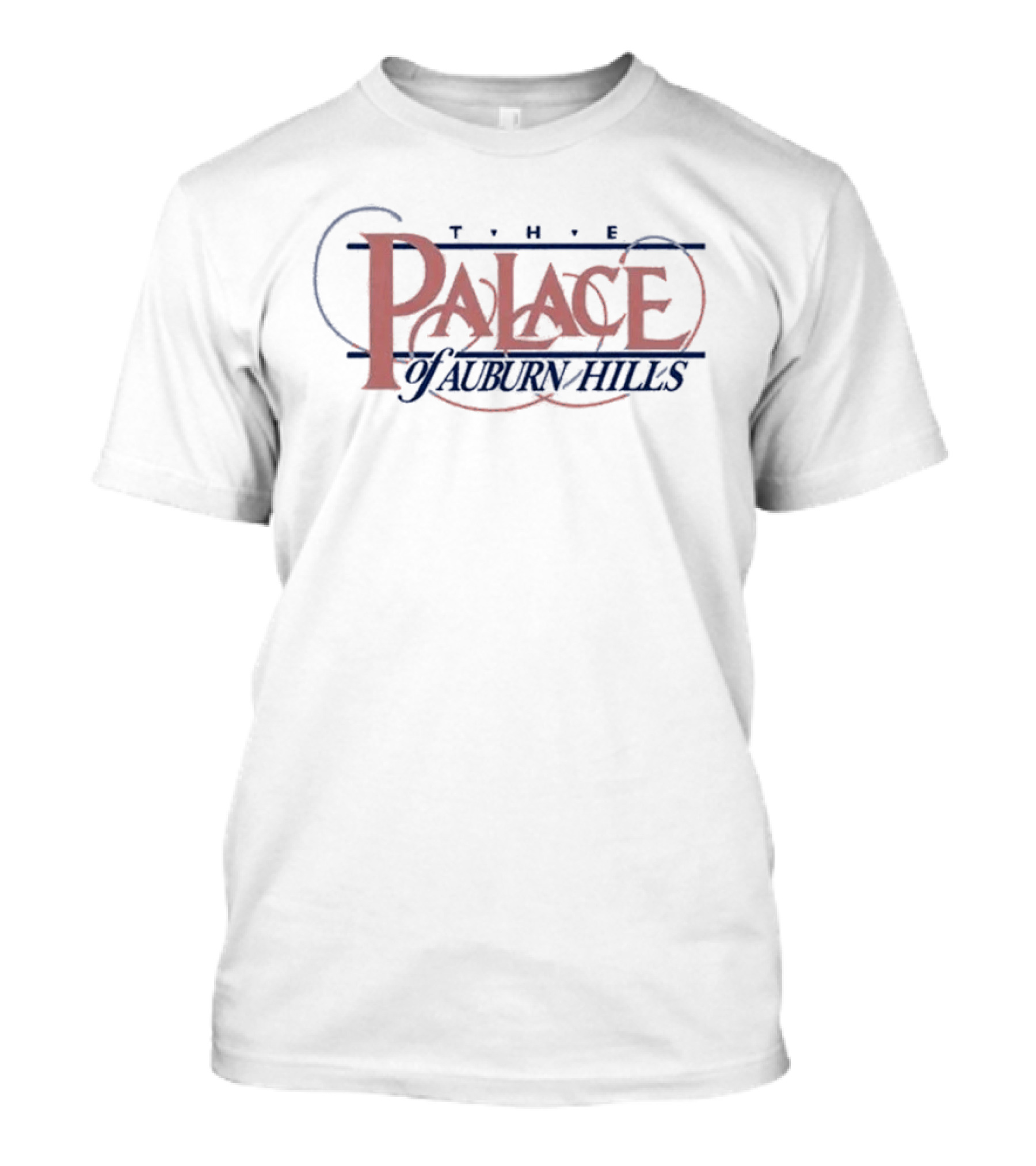 Sister Sage Susan Heyward The Boys Mi Culture The Palace Of Auburn Hills T-Shirt