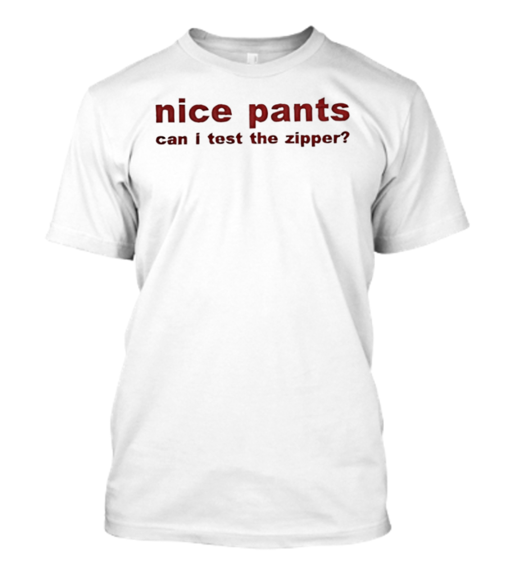 Nice Pants Can I Test The Zipper T-Shirt