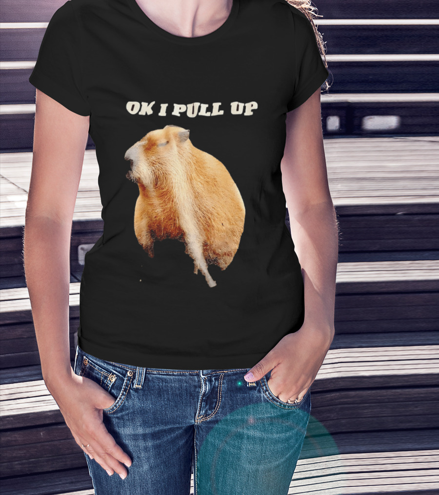Ok I Pull Up Capybara Meme T-Shirt