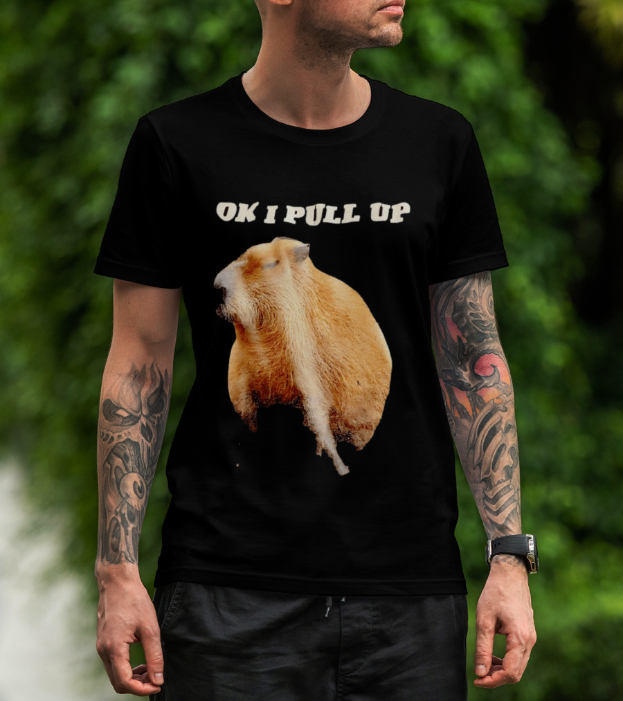 Ok I Pull Up Capybara Meme T-Shirt
