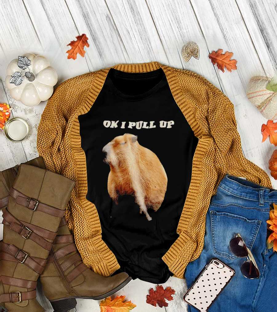 Ok I Pull Up Capybara Meme T-Shirt