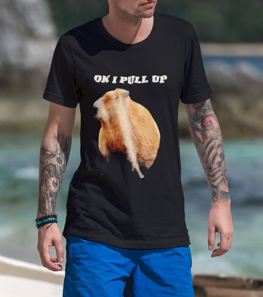 Ok I Pull Up Capybara Meme T-Shirt