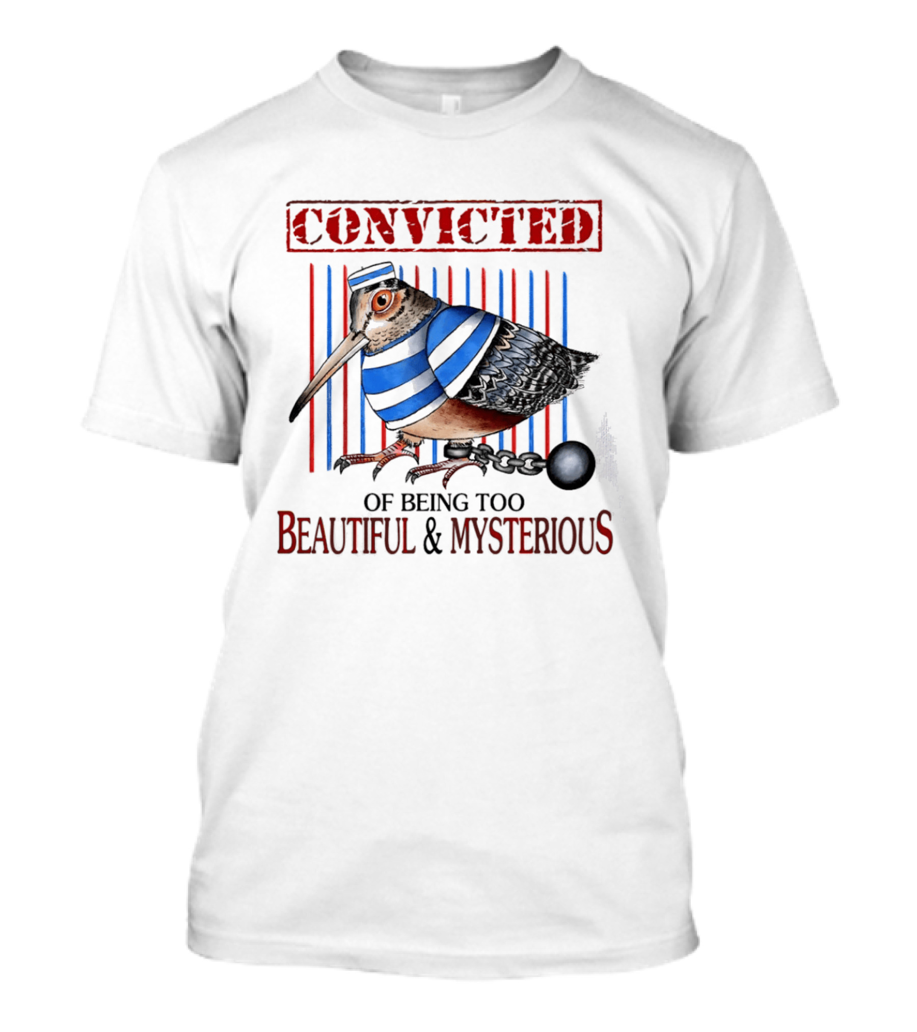 Convicted Of Being Too Beautiful And Mysterious Bird Prisoner Stripes T-Shirt