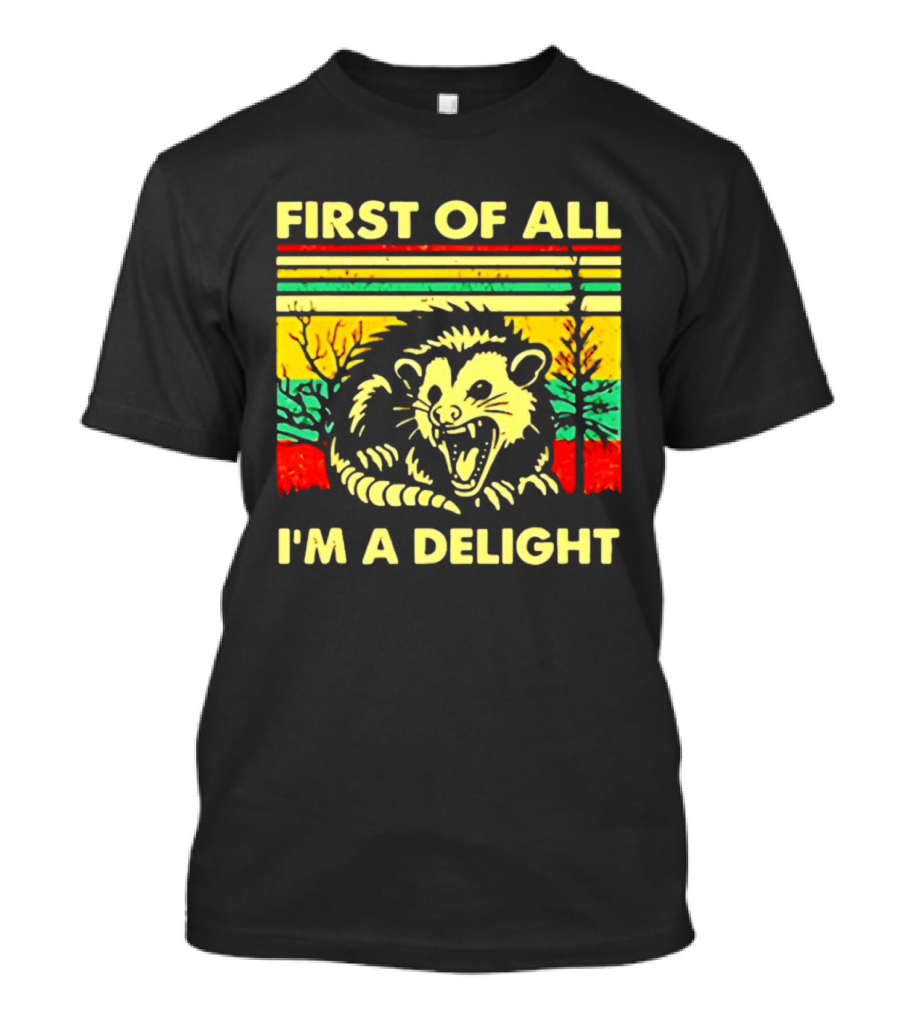 First Of All I'm A Delight Opossum Retro Stripes T-Shirt