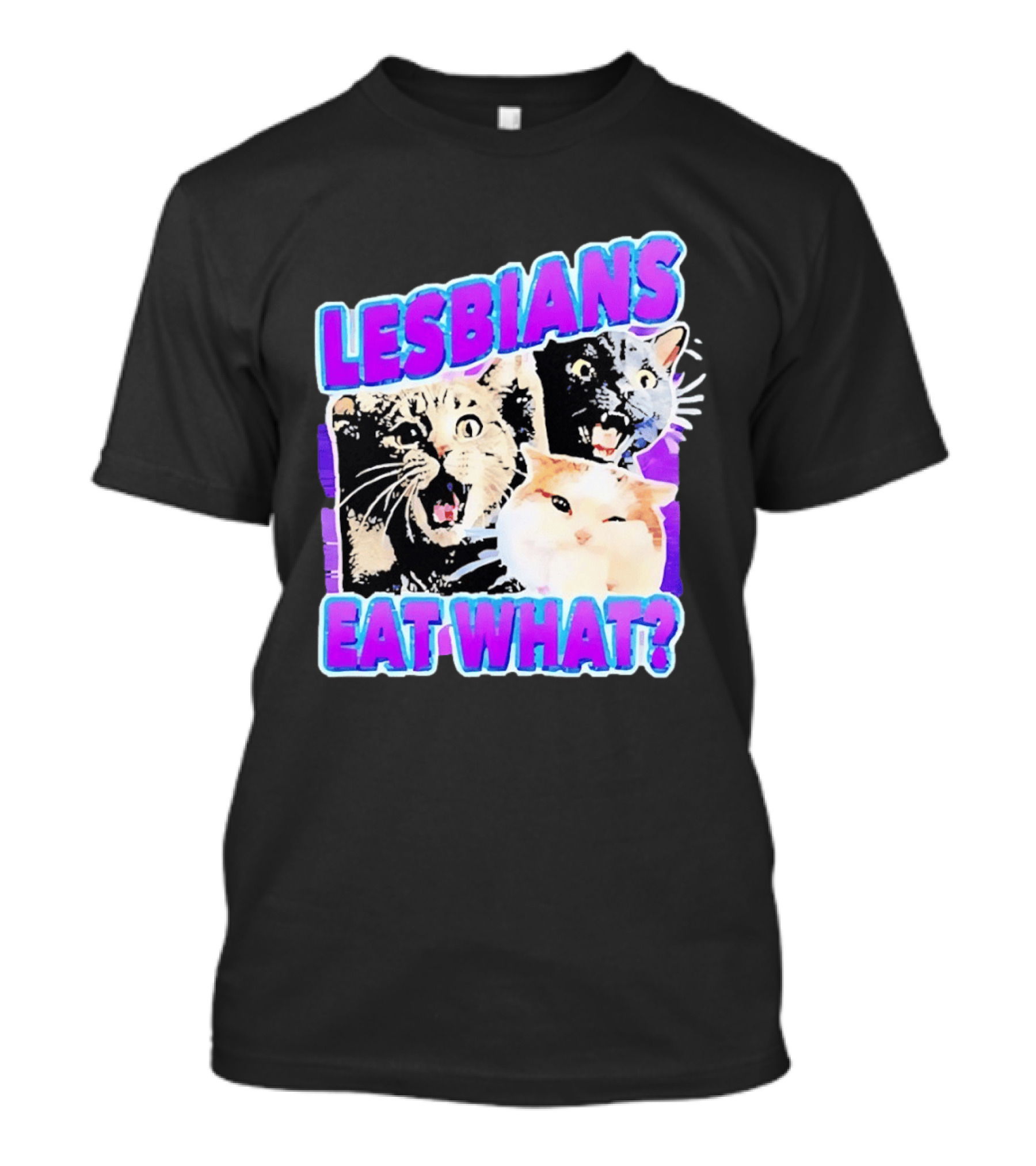 Lesbians Eat What Cat Meme Lesbian Pride Retro Cats T-Shirt