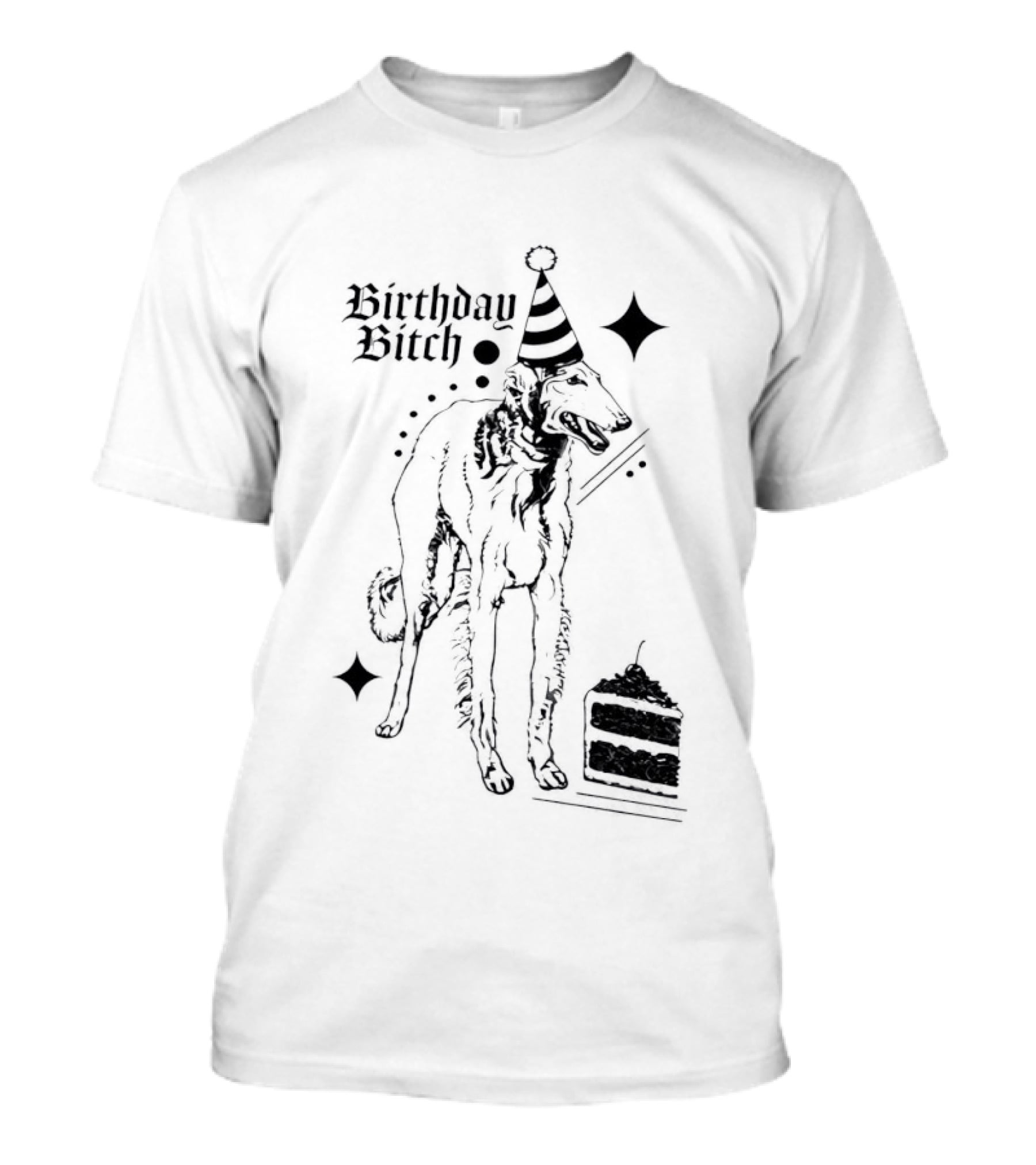 Birthday Bitch Dog Party Hat Cake Celebration Fun T-Shirt
