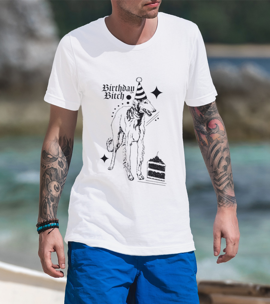 Birthday Bitch Dog Party Hat Cake Celebration Fun T-Shirt