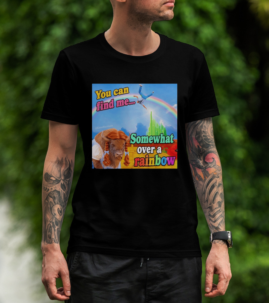 You Can Find Me Somewhat Over A Rainbow Bison Meme T-Shirt