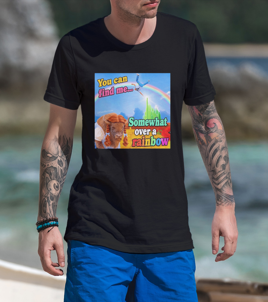 You Can Find Me Somewhat Over A Rainbow Bison Meme T-Shirt