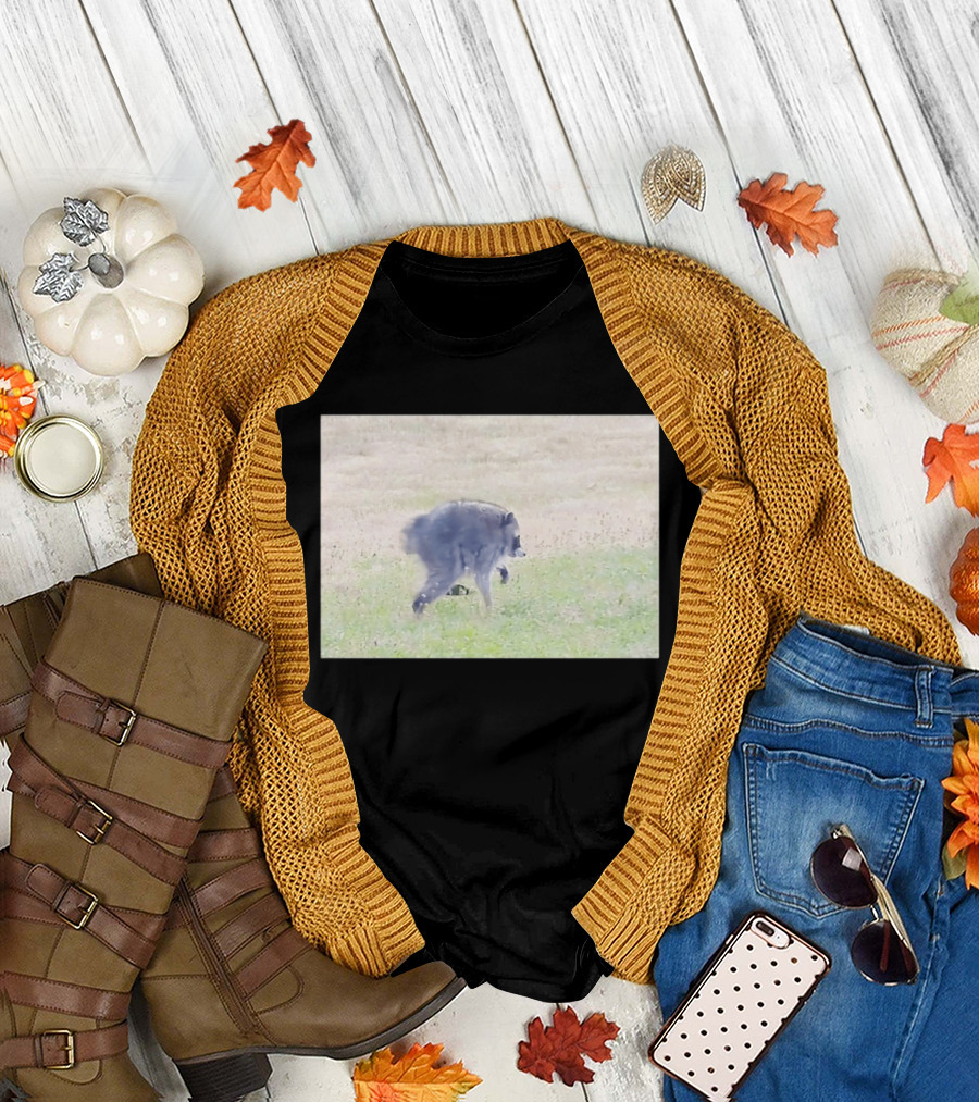 Jimothy Raccoon Walking In Grassy Field Wildlife Scene T-Shirt