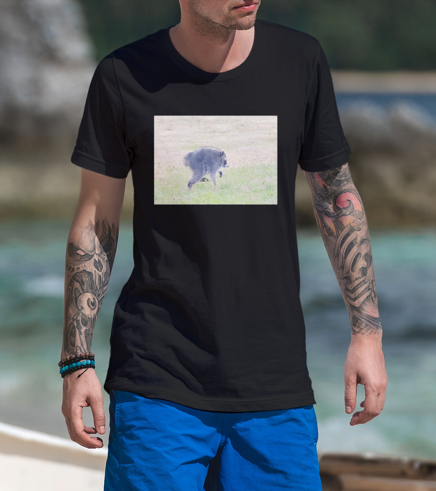 Jimothy Raccoon Walking In Grassy Field Wildlife Scene T-Shirt