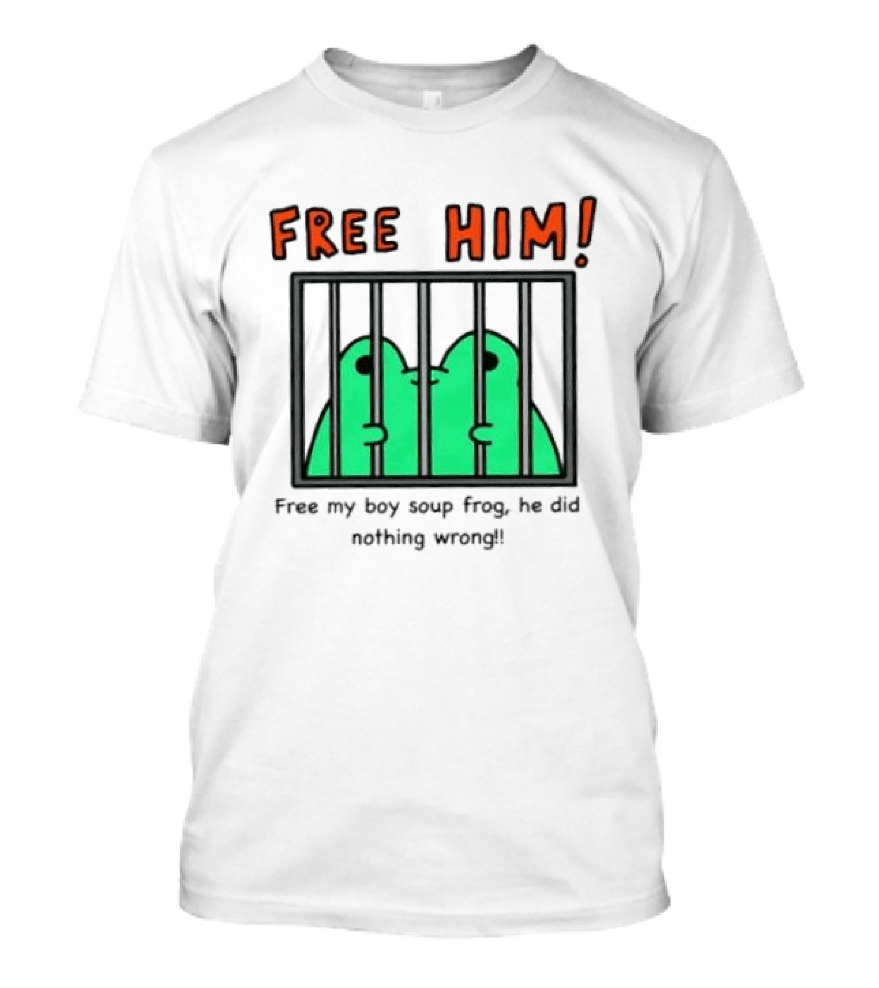 Free Him Soup Frog He Did Nothing Wrong T-Shirt