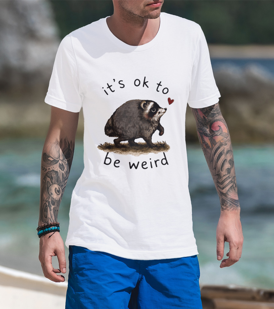 Raccoon It's Ok To Be Weird Cute Heart T-Shirt