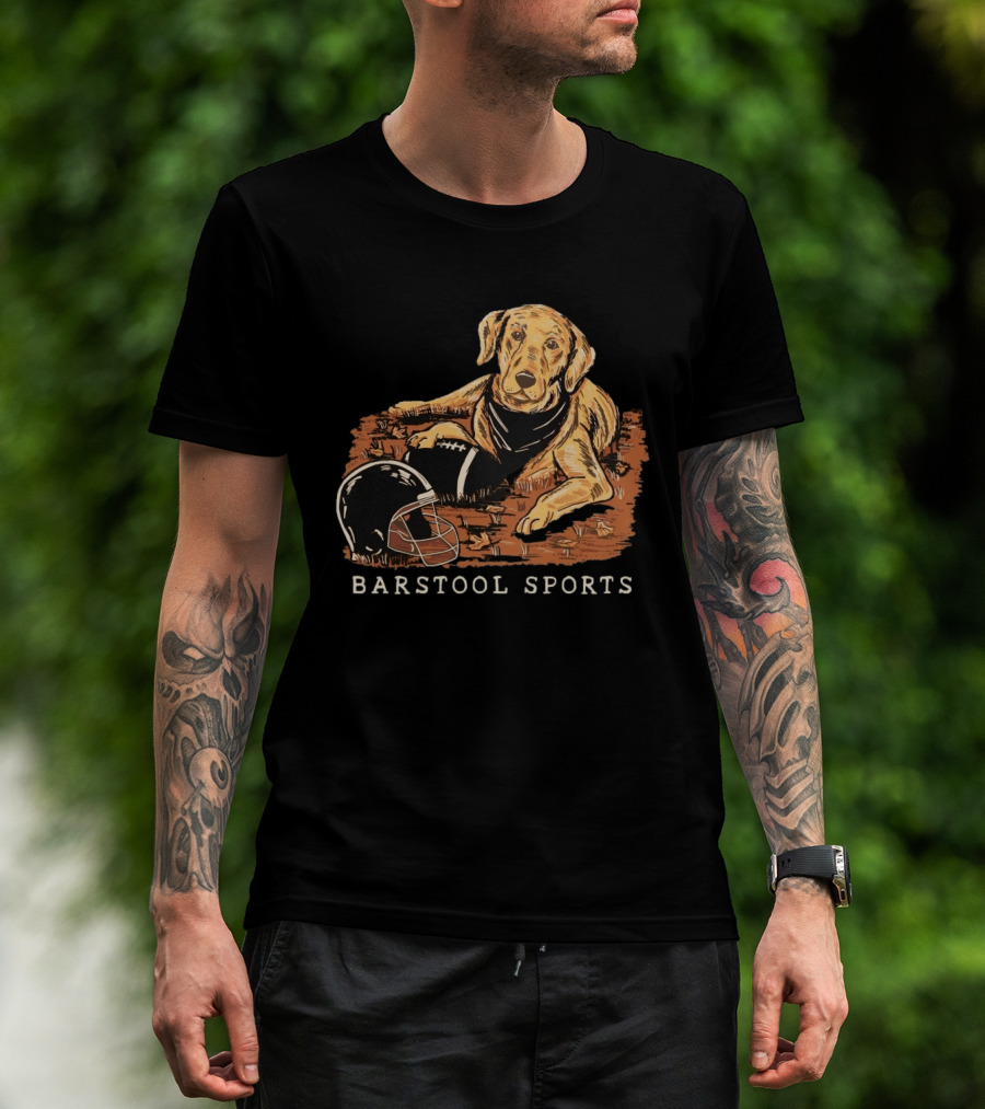 Barstool Sports Fall Football Dog With Helmet And Leaves T-Shirt
