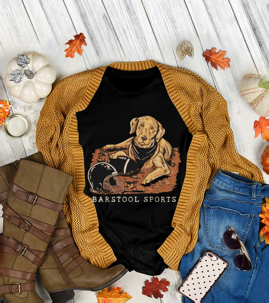 Barstool Sports Fall Football Dog With Helmet And Leaves T-Shirt