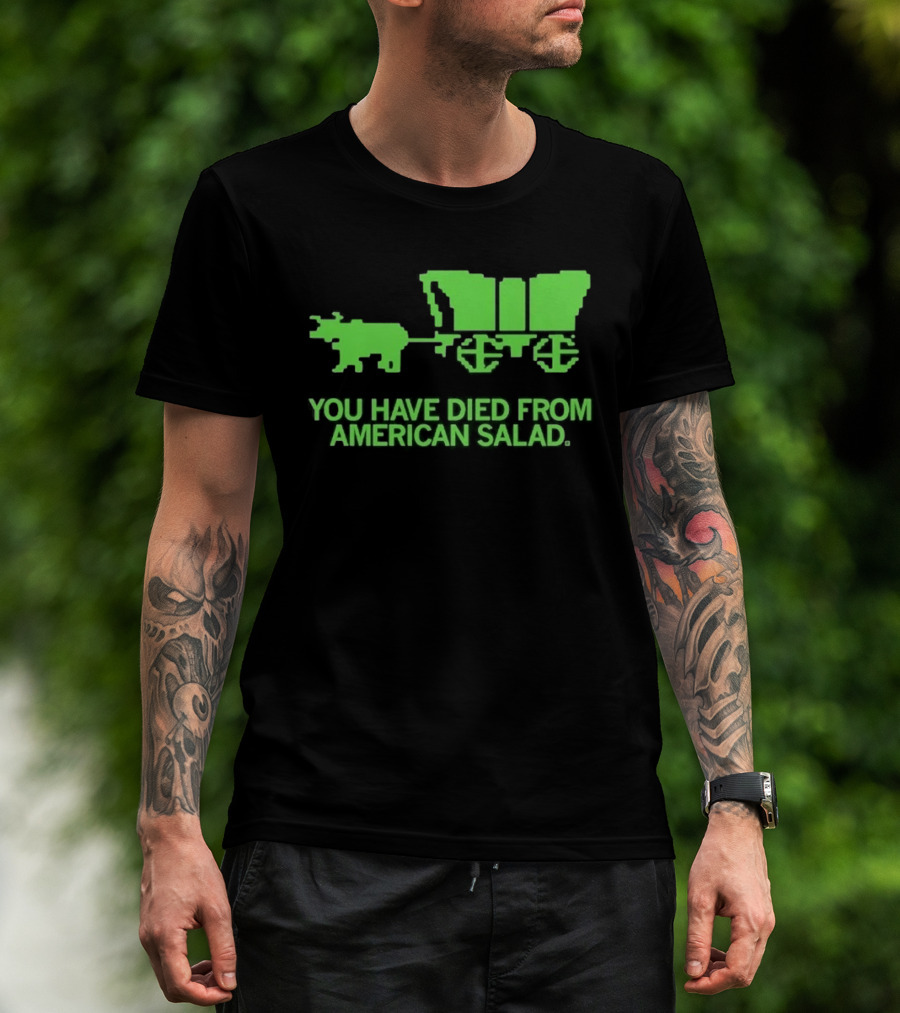 You Have Died From American Salad Ox Cart Retro Gaming Spoof T-Shirt