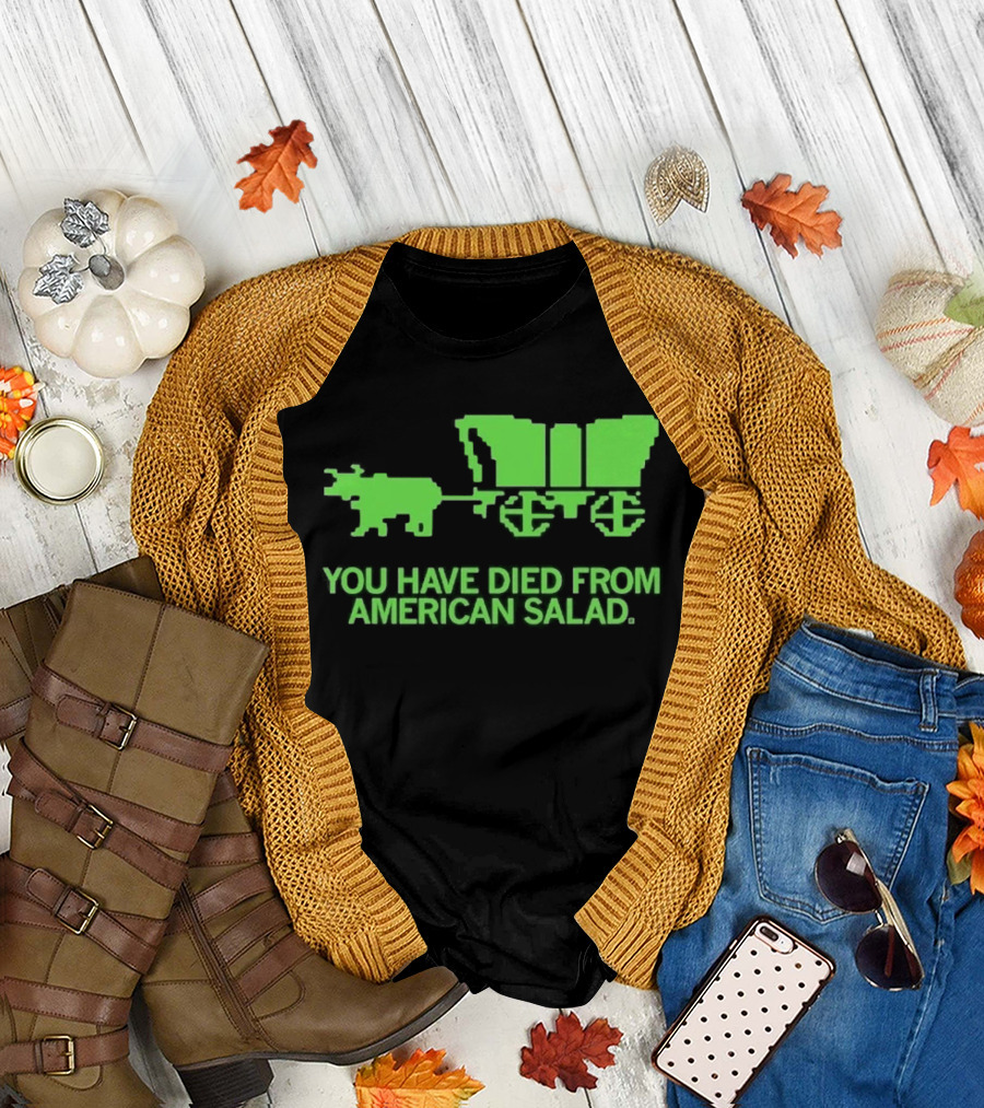 You Have Died From American Salad Ox Cart Retro Gaming Spoof T-Shirt