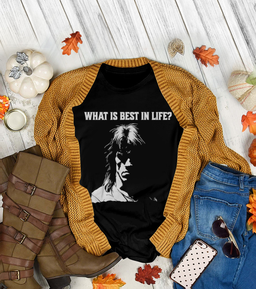 What Is Best In Life Conan The Barbarian T-Shirt