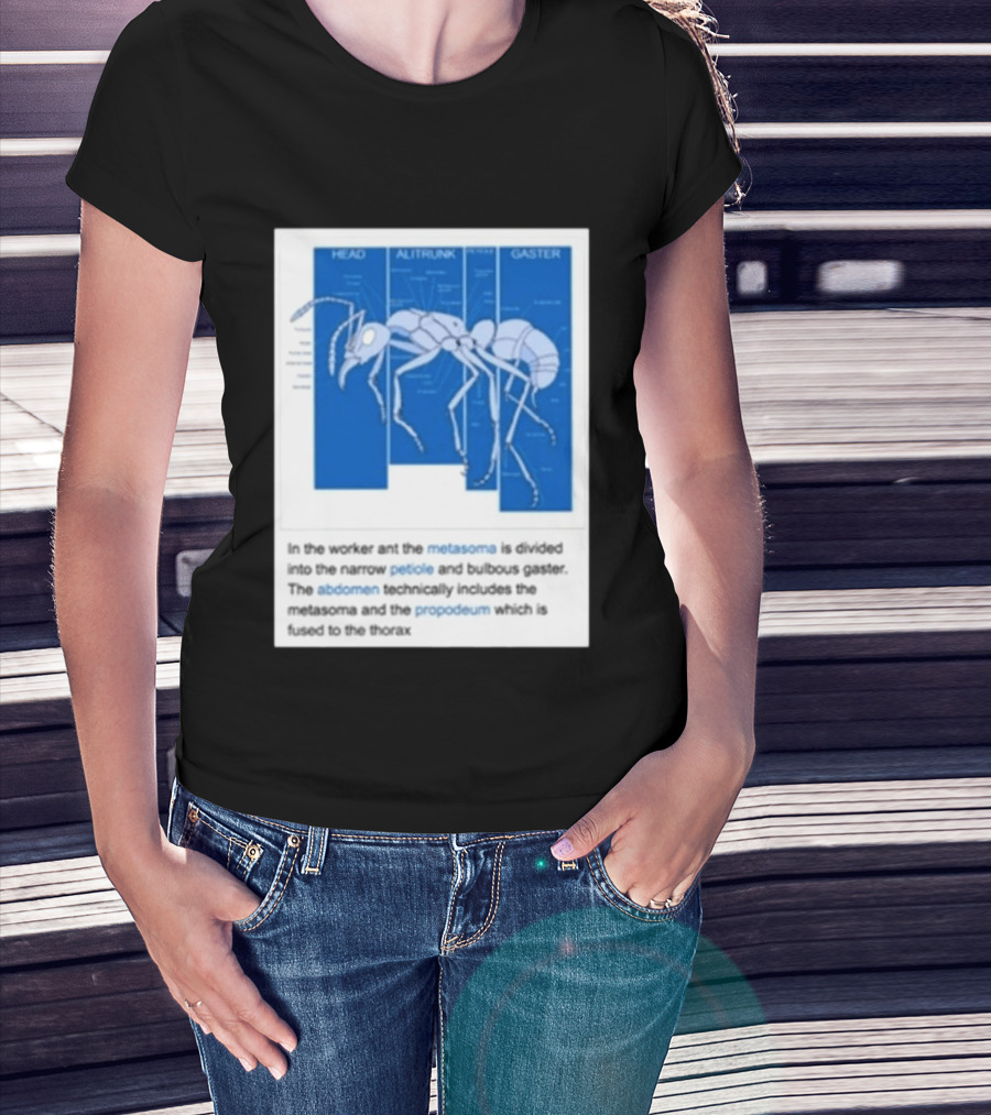 Head Alitrunk Gaster Metasoma Petiole Anatomy Of An Ant T-Shirt