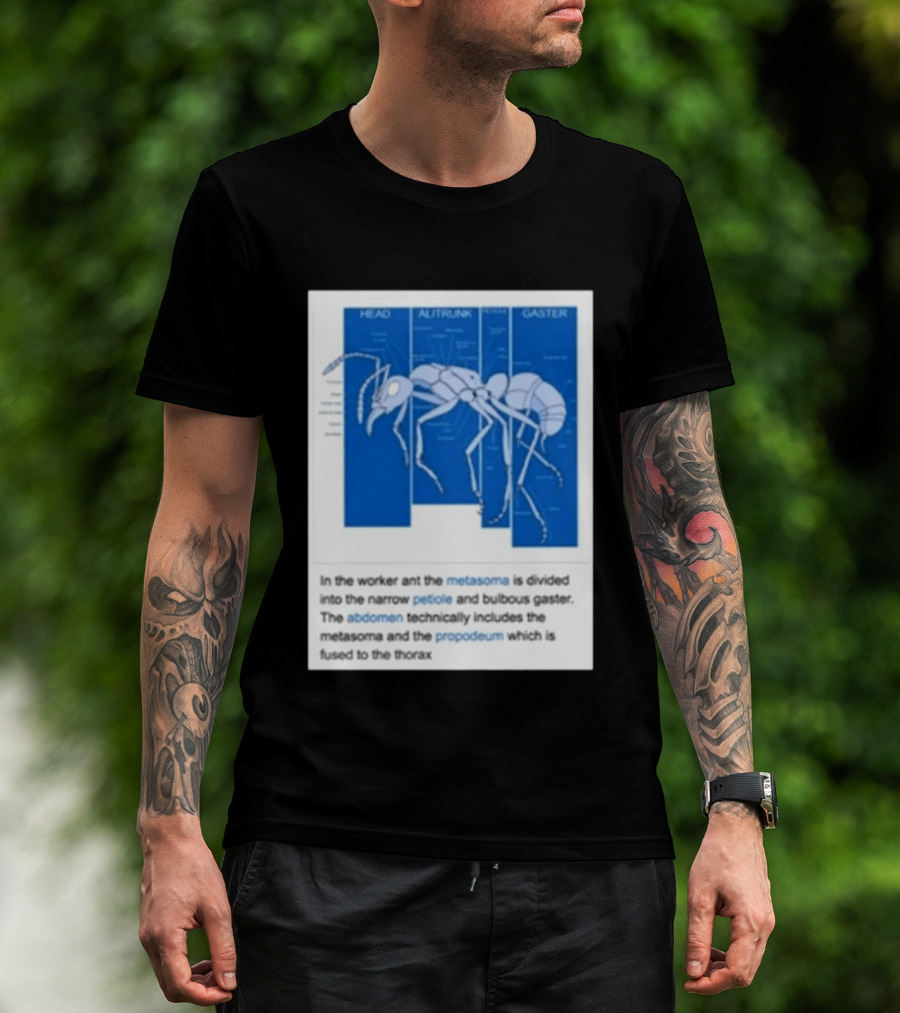 Head Alitrunk Gaster Metasoma Petiole Anatomy Of An Ant T-Shirt