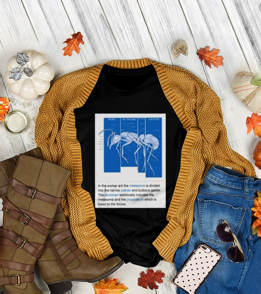 Head Alitrunk Gaster Metasoma Petiole Anatomy Of An Ant T-Shirt