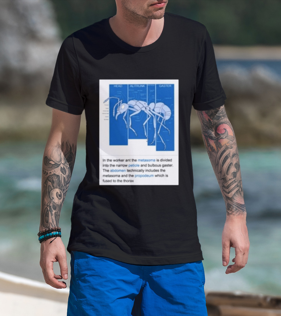 Head Alitrunk Gaster Metasoma Petiole Anatomy Of An Ant T-Shirt