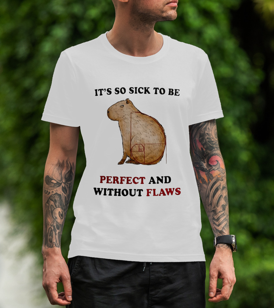 Capybara It's So Sick To Be Perfect And Without Flaws Fibonacci Spiral T-Shirt