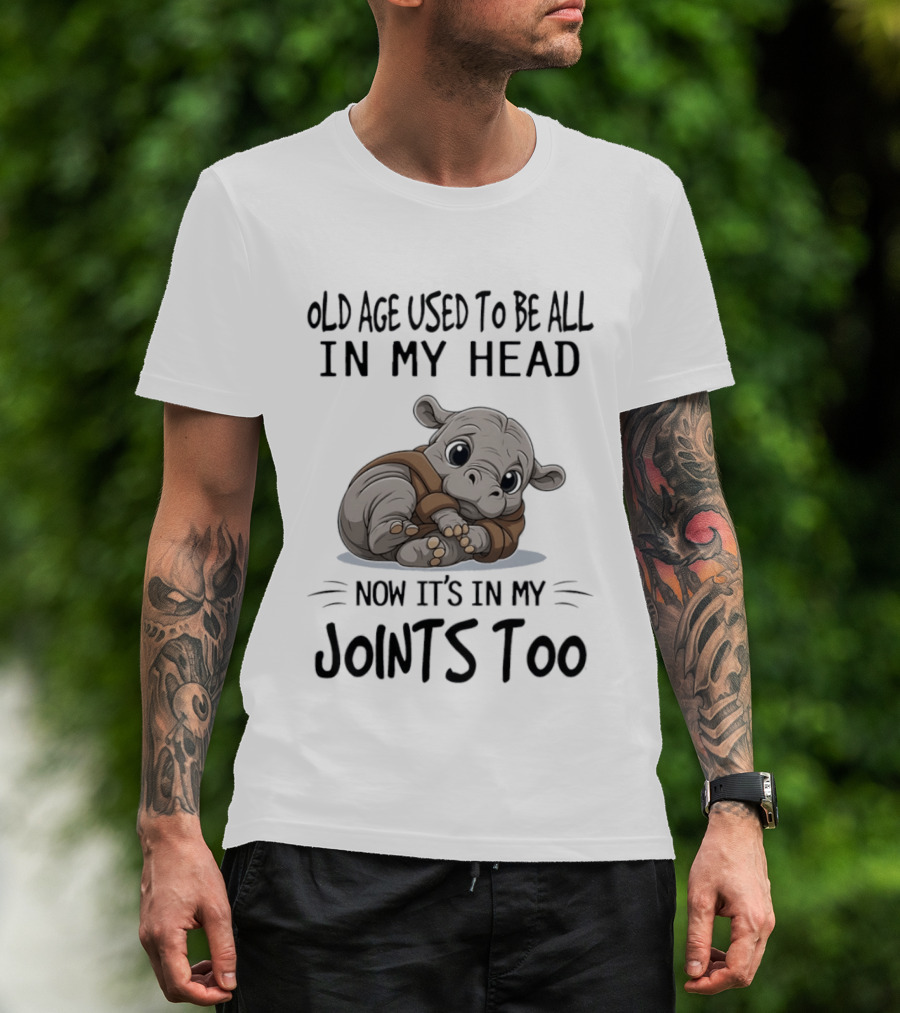 Old Age Used To Be All In My Head Now It's In My Joints Too Cute Hippopotamus T-Shirt