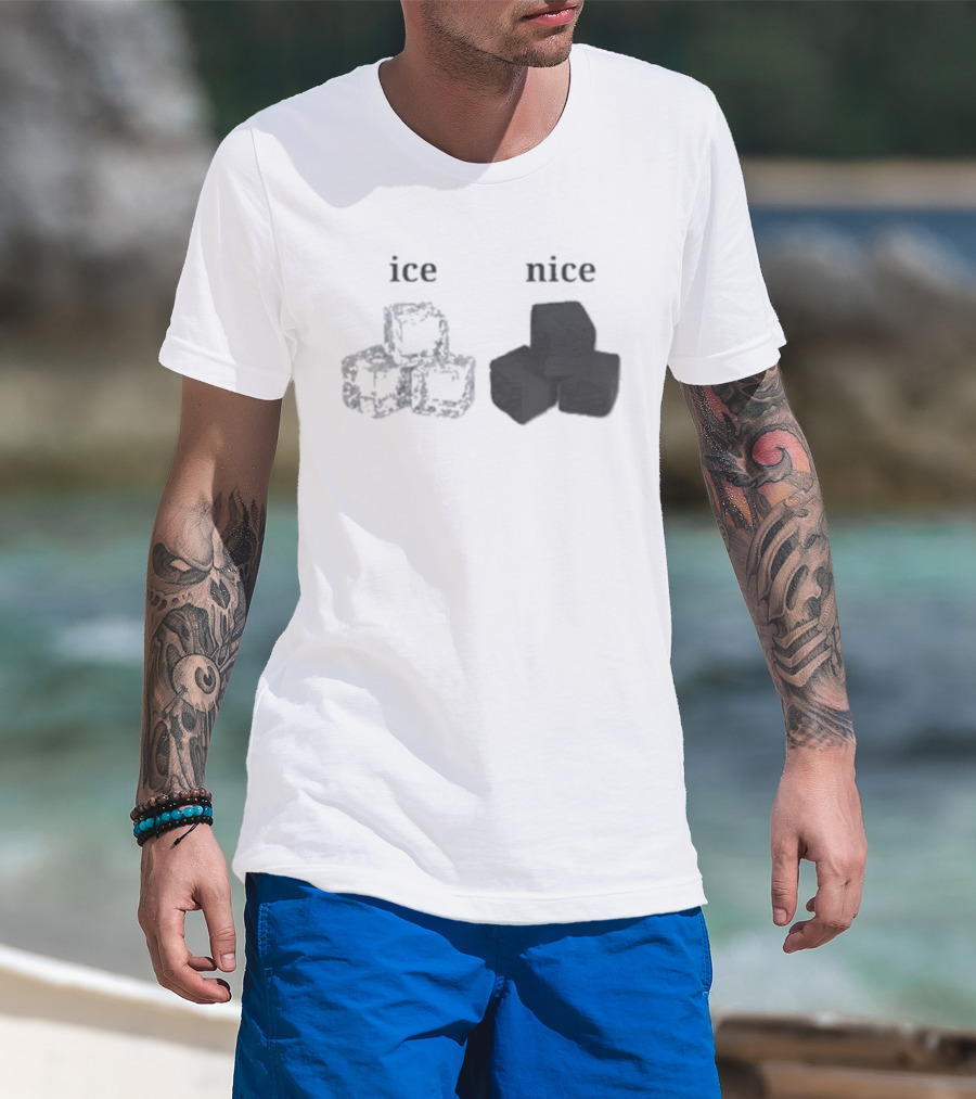 Ice Vs Nice Cubes Playful Word T-Shirt