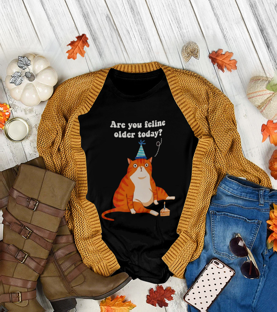 Are You Feline Older Today Birthday Cat With Party Hat And Cake T-Shirt