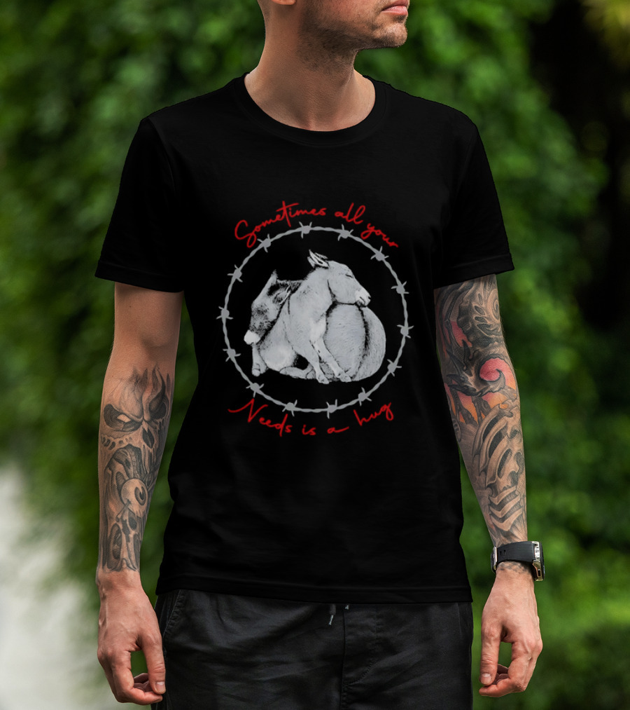 Sometimes All Your Needs Is A Hug Cuddling Donkeys Barbed Wire T-Shirt